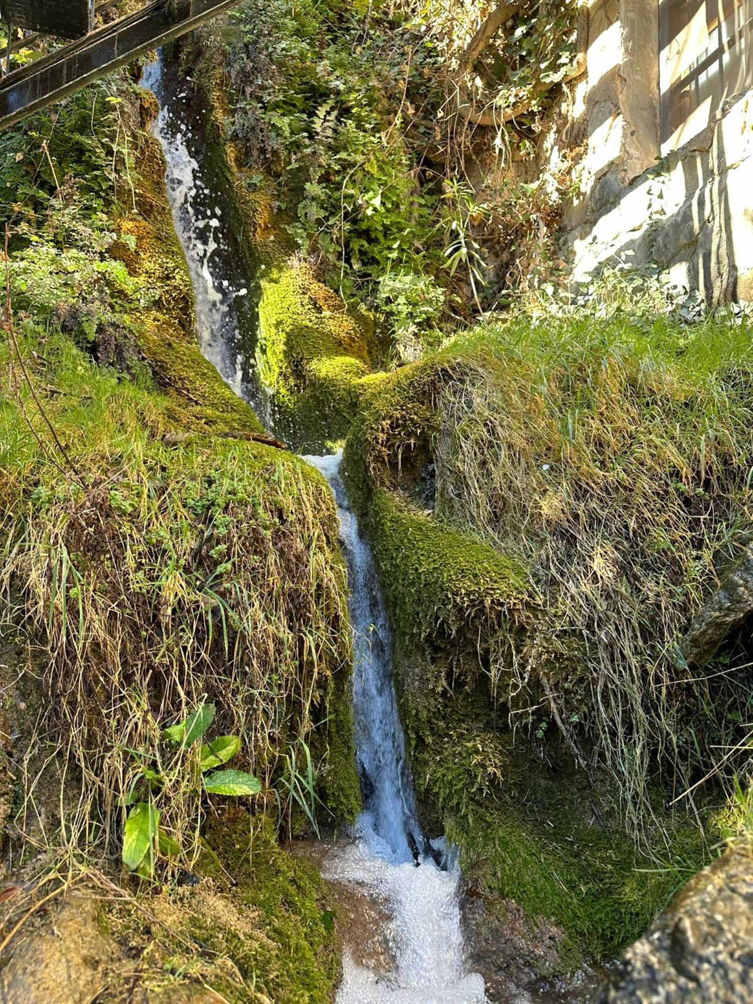 Alojamientos La Tercia Benizar Bagian luar foto